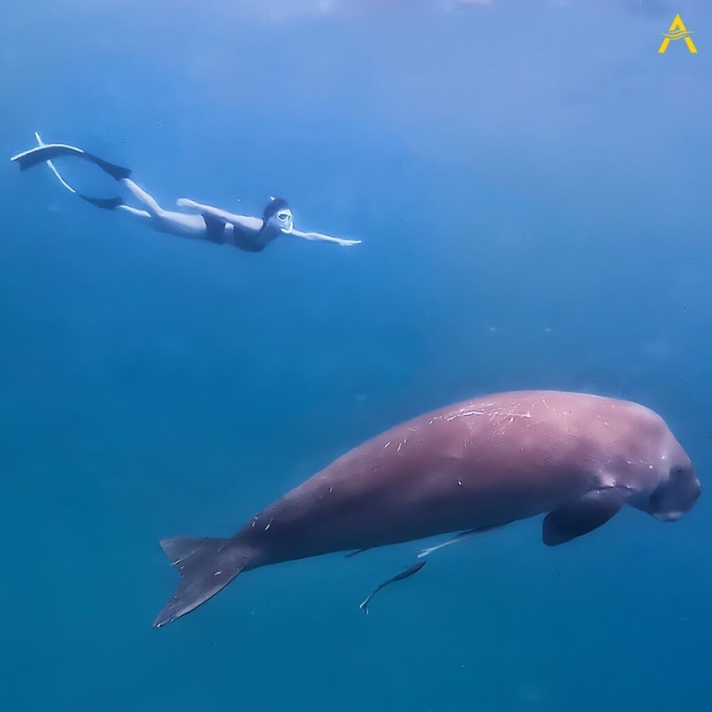 FREEDIVING